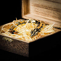 Bracelet \"Colère de Jörmungand\" - Version OR Bracelet \"Colère de Jörmungand\" - Version OR