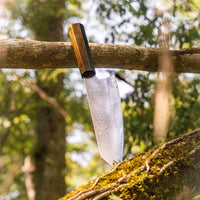 Couteau Viking de Ragnar – L’Excellence Culinaire et l’Héritage Nordique